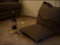 Pillow Sex