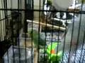 Chloe's bath time