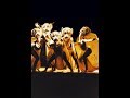 videos de Simba / A. De La Roche - King of Pride Rock