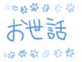 手のり聖徳太子
