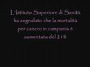 Questa è la camorra