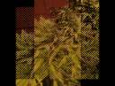 videos de cultivo interior 2008 ¡fenomenal! (flamenckid).divx