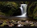 Robbie Nelson - Avaitor ( Rob Corbo Remix )