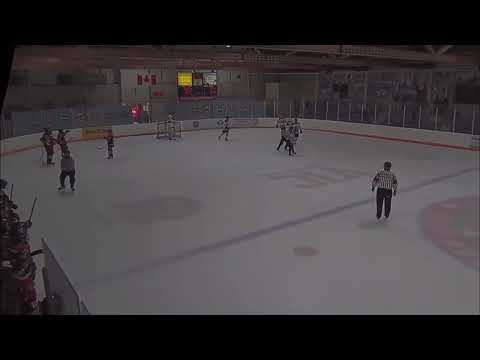 Luca Carbone - 2006 - Niagara Riverhawks Highlights