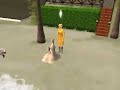 the-sims-2-at-the-beach-bon-voyage.html