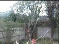 Home built Trebuchet