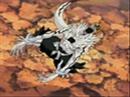 Uzumaki vs Kurosaki 2 part 1