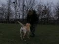 Zmora - Frisbee.