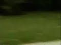 cuidado con la vieja