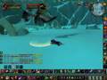 WotLK-Beta: Feral Druid Savage Roar