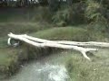 La caidar de edgar versionardillita