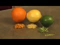 How to Zest Citrus Fruit For Dummies