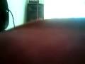 videos de offender - que fue mejor (cover elli noise)