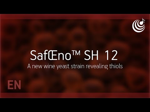 SafŒno™ SH-12 by Fermentis - Launching now - A new wine yeast strain revealing thiols
