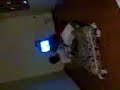 GUIDO Y COTY GAYS COMPARTIENDO UN COLCHON