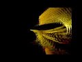 Innocent Perversion - robobug.wmv