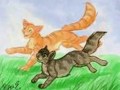 Brambleclaw and Squirrelflight