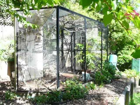 aviary - Here is the finch aviary after it has settled in for 1.5 years. This video tour includes lots of tips on how to set up a natural-looking garden aviary like t...
