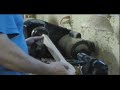 Wood Turning: Wooden Spoon (1) Mounting