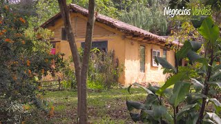 JACAMAKI – Negocio verde