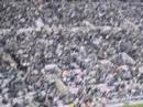 newcastle united