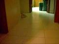 videos de popcorn movie