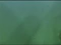 רצח רבין - הדיווח הראשון