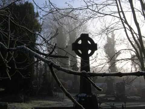 Youtube Video amysD6mFV-0