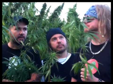 Zputnik - Babiččin Skunk
