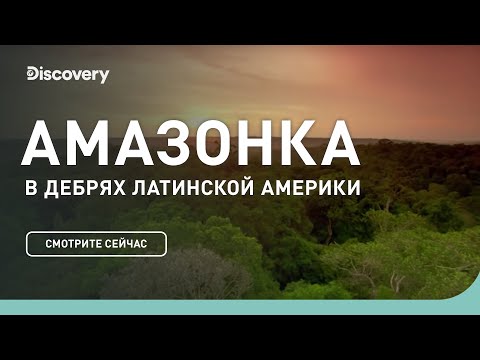 Амазонка