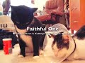 Faithful One - Celtic Worship 2
