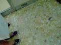 videos de Montgomery Hydraulic Glass Elevator In Nieman Marcus At Galleria Mall