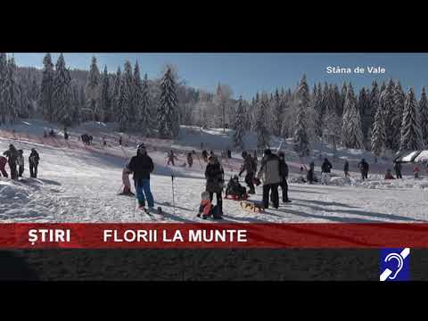 De Florii, la munte