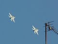 F16 Katowice