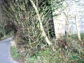 Chalford Walk Feb 2008 (Part 5)