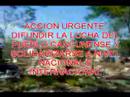 CIENTOS DE CANCUNENSES POBRES EN LUCHA POR VIVIENDA