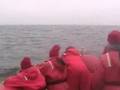 aug 15, 330 trip breaching and flipper slapping