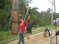 Pit Bull Tyron 1º Lugar no salto livre....