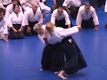 aikido,o'sensei,endo