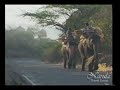 India Travel - India Population