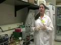 Molecular Plant Sciences at Virginia Tech