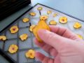 Dried Nectarine Crisps Part 2, Dehydyrated Nectarine with Stephanie @ efooddehydrator.com!