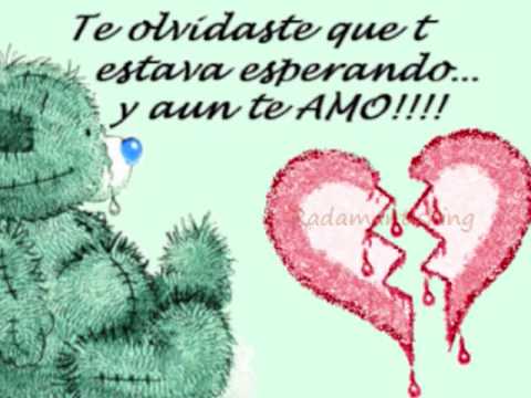 ... Of Novio Videos Videos Relacionados Con Frases Amorosas Para Mi Novio