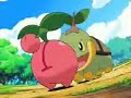 Turtwig Still Waiting