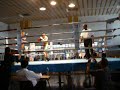jesse thaiboxen jesse thaiboxen