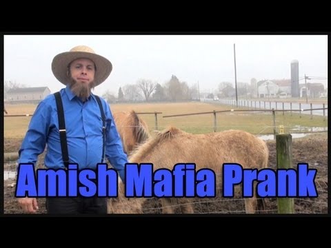 Amish Mafia