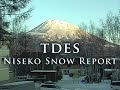 tdes Niseko Snow Report - Nick, Powderlife Cafe tdes Niseko Snow Report - Nick, Powderlife Cafe
