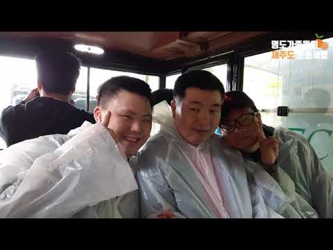 2019년 제주도문화체험