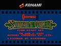 nintendo - castlevania 2 - mansion - dwelling of doom