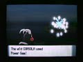 Shiny Corsola w/ Pokeradar PLUS SHINY PATCH